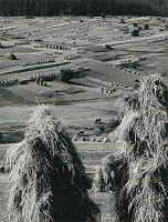 Martin Martinček – Liptov cyklus čiernobielych fotografií 15ks 