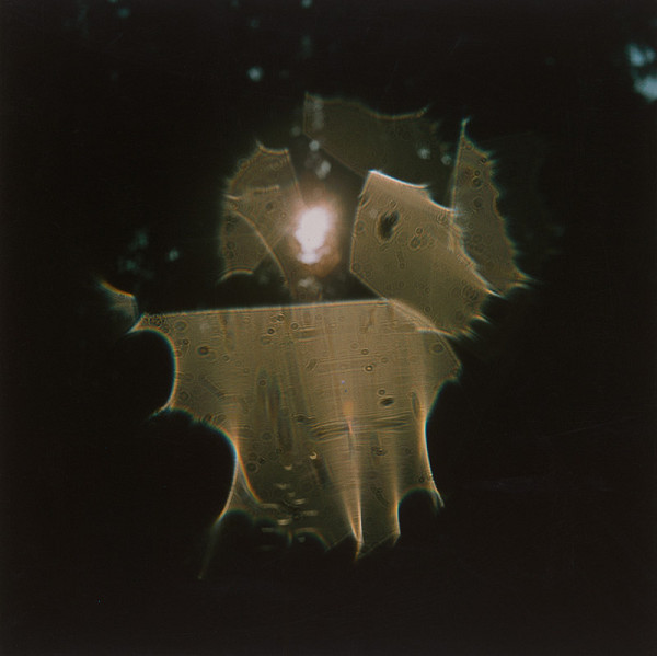 Martin Martinček – Chvála slnka, cyklus farebných fotografií 10 ks 