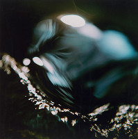 Martin Martinček – Chvála slnka, cyklus farebných fotografií 9ks 