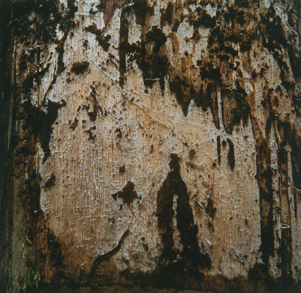 Martin Martinček – Tajomstvo hory,  z cyklu farebných fotografií, 15 ks 