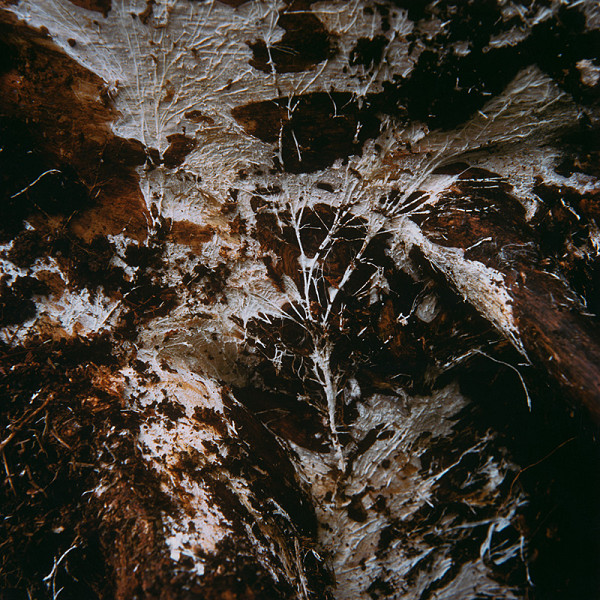 Martin Martinček – Tajomstvo hory (Záporenie) z cyklu farebných fotografií, 15 ks 