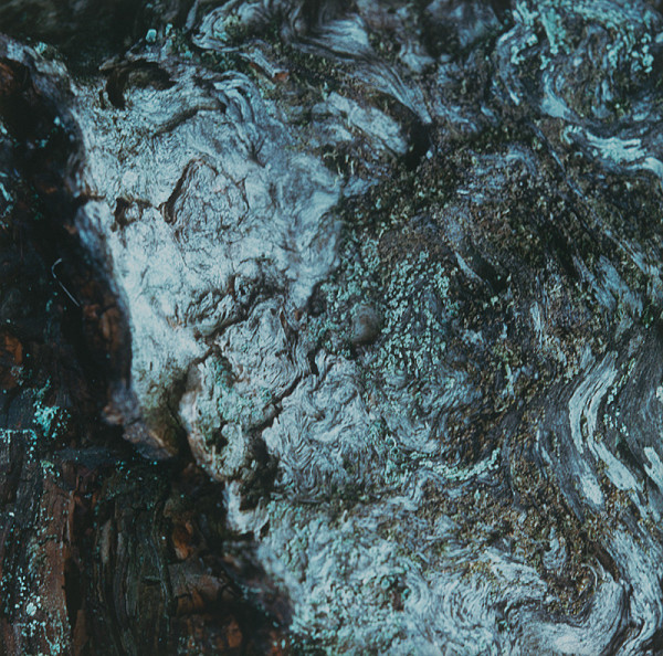 Martin Martinček – Tajomstvo hory (Antická hlava) z cyklu farebných fotografií, 15 ks