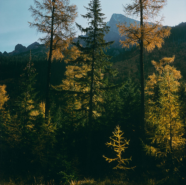 Martin Martinček – Farby hôr, cyklus farebných fotografií, 20 ks 