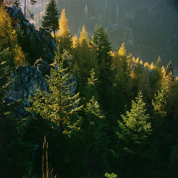 Martin Martinček – Farby hôr, cyklus farebných fotografií, 20 ks 