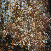 Martin Martinček – Perský koberec z cyklu Tajomstvo hory 