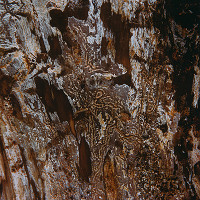 Martin Martinček – Profil Byzantínca z cyklu Tajomstvo hory 