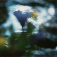 Martin Martinček – Rozkvitnutý deň II. 