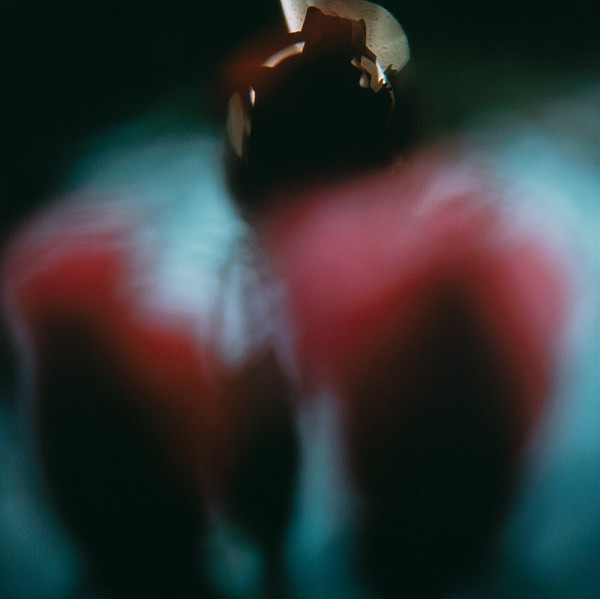 Martin Martinček – Rozkvitnutý deň VI. 