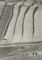 Martin Martinček – S obedom do poľa 