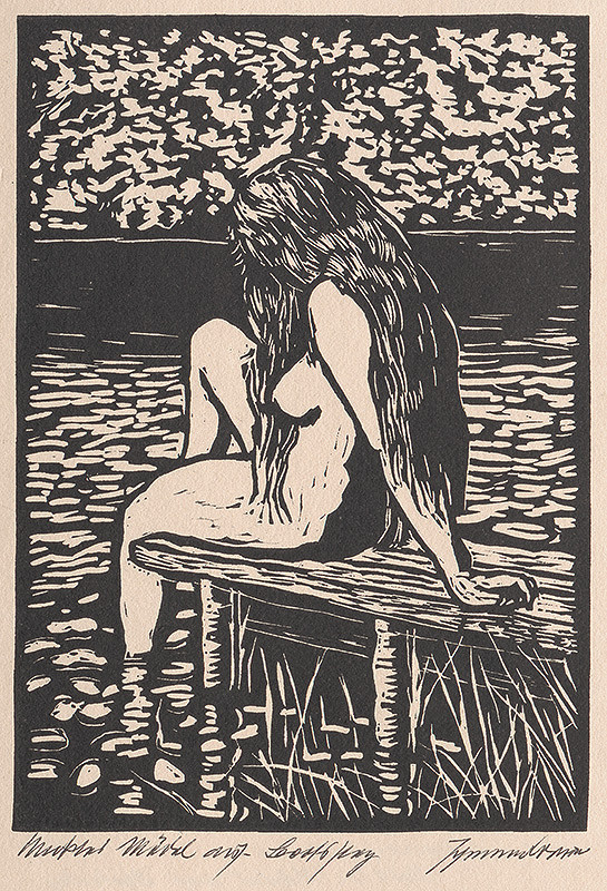 Johannes Brauer – Pri vode 