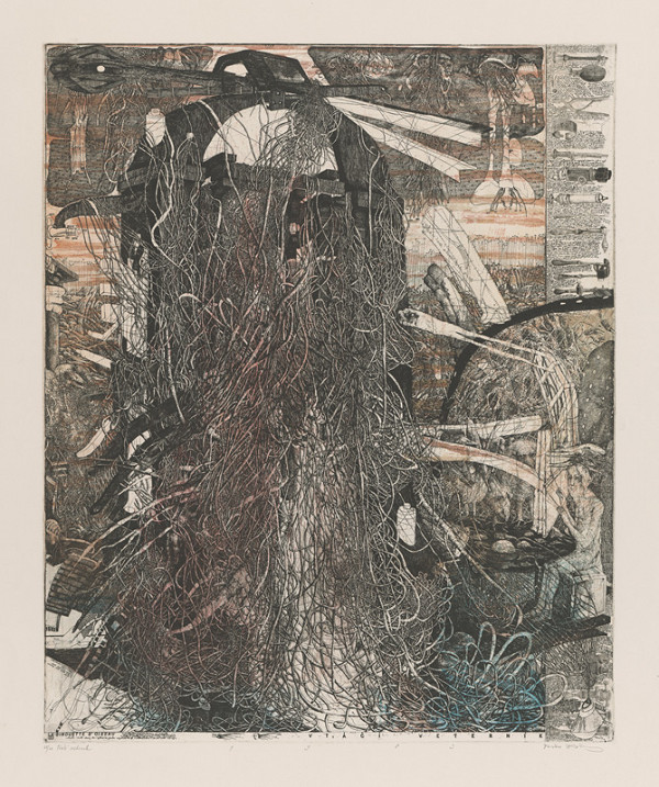 Dušan Kállay – Vtáčí veterník 