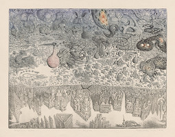 Peter Kľúčik – Vtáčia moc 