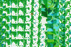 Ján Ťupek – Počítačová animácia 