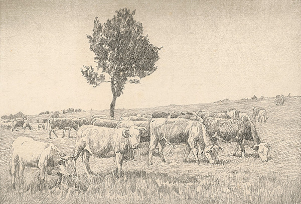 Viktor Hermély – Na paši