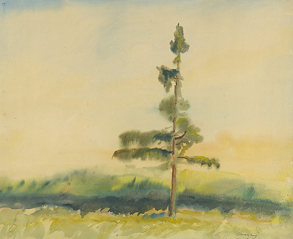 Zolo Palugyay – Osamelý strom 