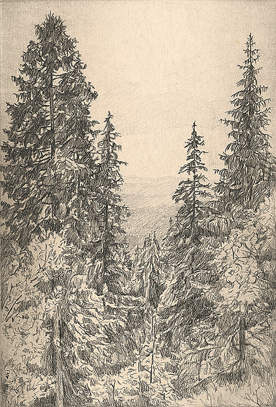 Viktor Hermély – Lesná partia 