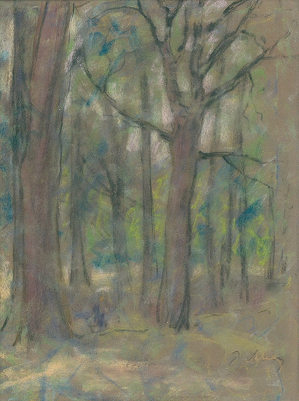 Janko Alexy – Štúdia listnatých stromov