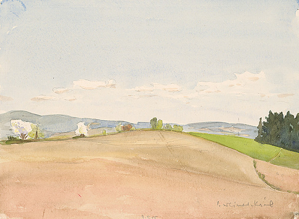 Imrich Weiner-Kráľ – Široké pole 