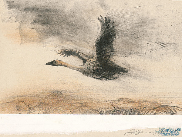 Igor Rumanský – Žofkine rozprávky 