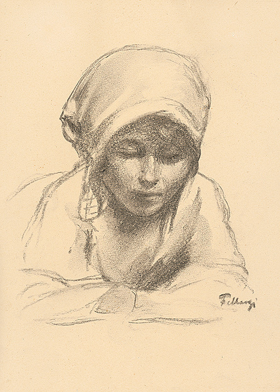 Alojz Fellegi – Čítajúca 