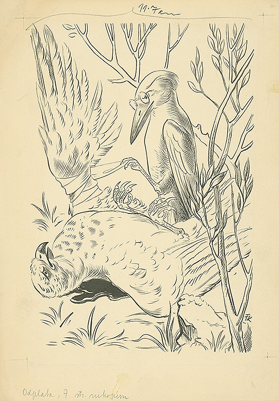 Fedor Klimáček – Ďatel lekárom 