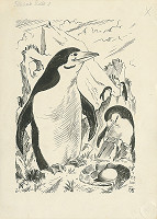 Fedor Klimáček – Tučniaci 