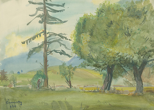 Ladislav Čemický – Čemice 