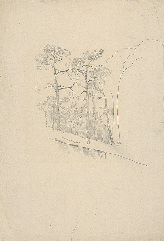 Ladislav Mednyánszky – Štúdia borovicového lesa 