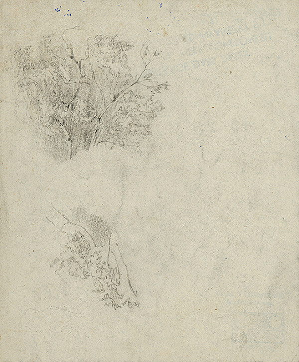 Ladislav Mednyánszky – Štúdia koruny stromu 