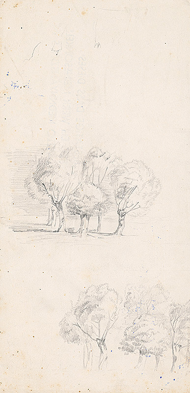 Ladislav Mednyánszky – Štúdia skupiny stromov