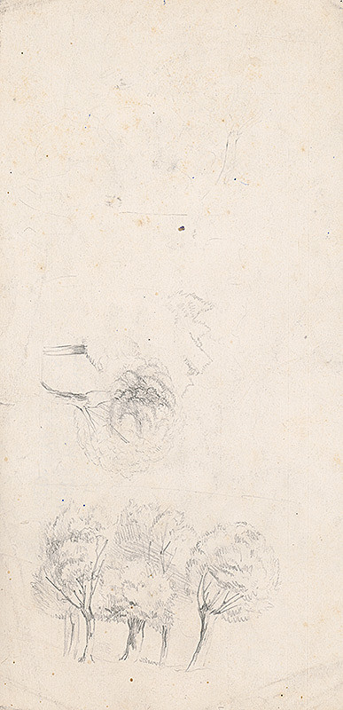 Ladislav Mednyánszky – Štúdia skupiny stromov 