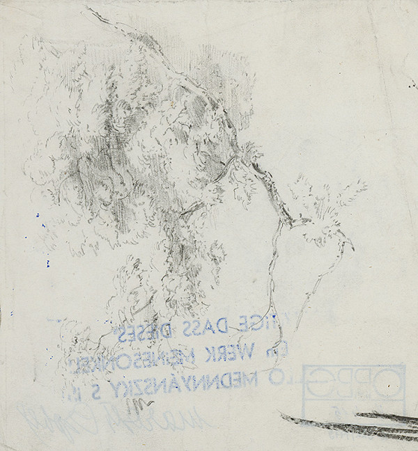 Ladislav Mednyánszky – Štúdia konára 