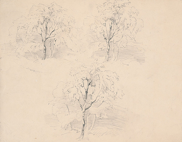 Ladislav Mednyánszky – Štúdia briez 