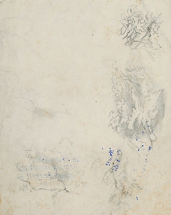 Ladislav Mednyánszky – Štúdia korún stromov 