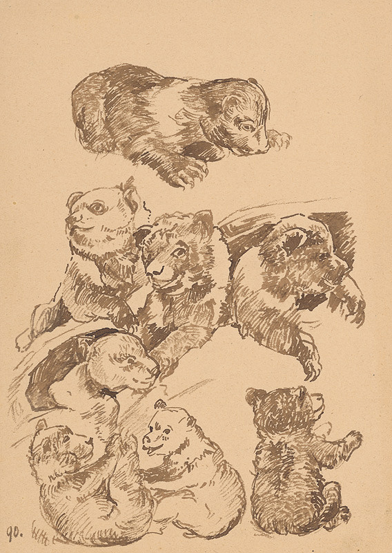 Peter Július Kern – Štúdia medveďov