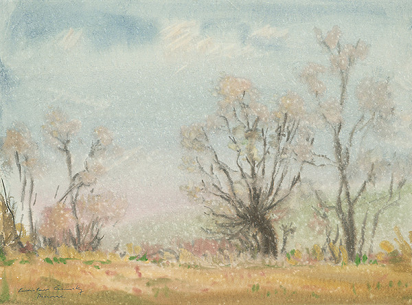 Ladislav Čemický – Mrholenie 