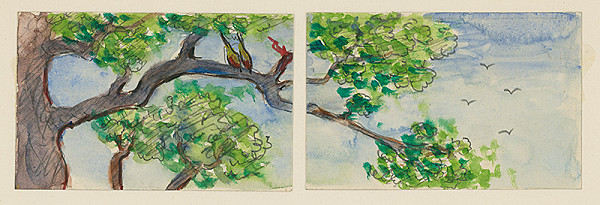 Ernest Špitz – Štúdia konára stromu 