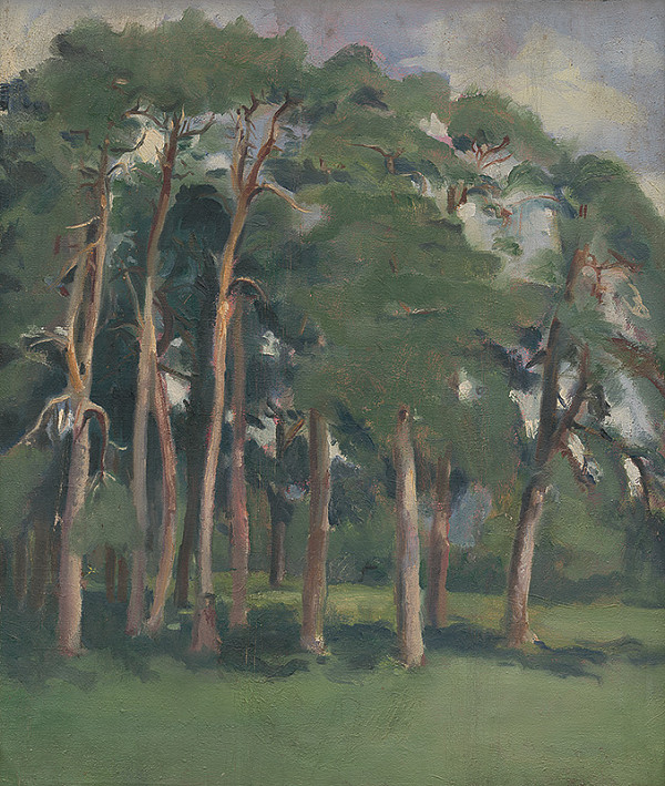 Ladislav Čemický – Borovice v Čemiciach 