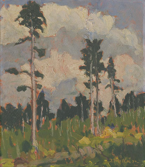 Jozef Kollár – Borovice 