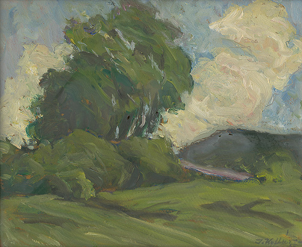 Jozef Kollár – Krajina so stromom