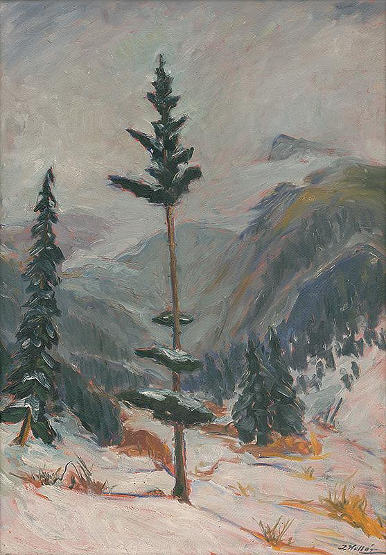 Jozef Kollár – Jánska dolina v zime 