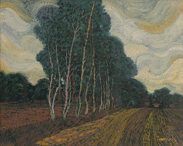 Anton Jasusch – Stredoslovenská krajina 