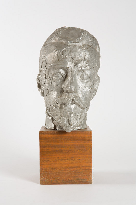 Alexander Trizuljak – Aurel Stodola 