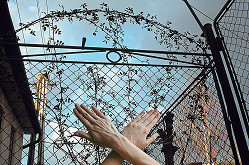 Monika Stacho – Bez názvu III. 