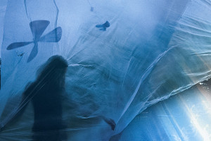 Monika Stacho – Zvečneniny I. 08. 