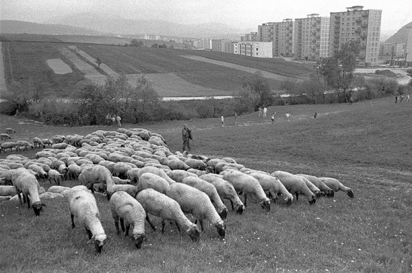 Pavol Breier – Banská Bystrica 