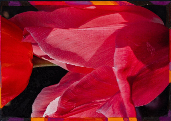 Viktor Šefčík – Kompozícia v ružovom I. 