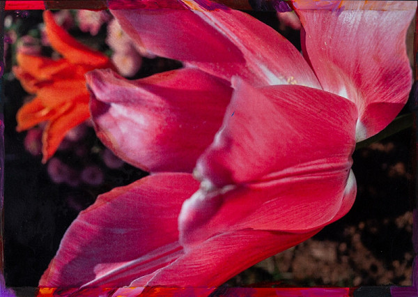 Viktor Šefčík – Kompozícia v ružovom II. 