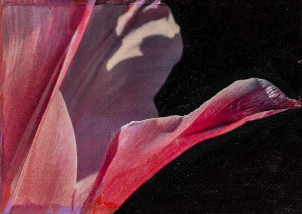 Viktor Šefčík – Kompozícia v ružovom IV. 