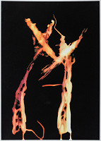 Vítězslav Krejčí – Jsme si sobě oporou 